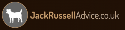 JackRussellAdvice.co.uk